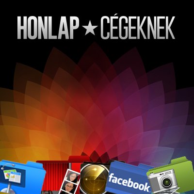 Honlapkészítés cégek részére! Honlapkészítési szempontjaink: Bevételtermelő honlapok, könnyen kezelhető, keresőoptimalizálható, biztonságos honlapokat készítünk