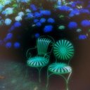 carol rhoads - @305carol - Twitter