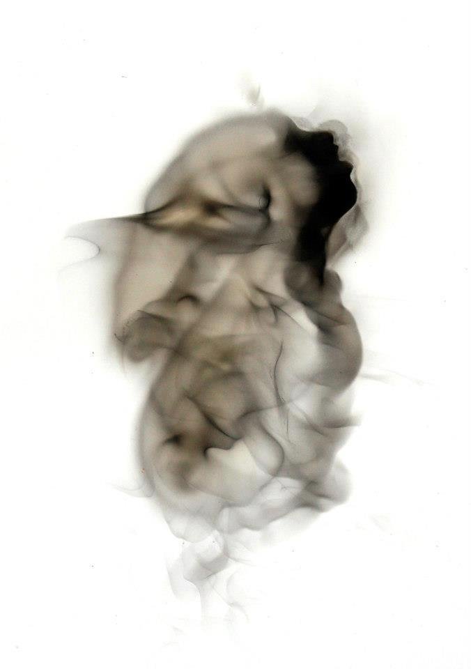 leosphere7's profile picture. 