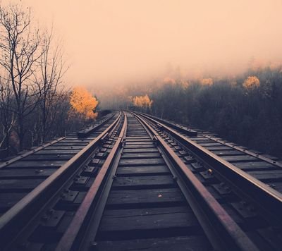 01b2d53055e7479's profile picture. 