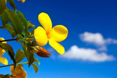 BetziMarban's profile picture. Venezolana