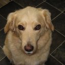 Donna Oxley - @NewKnobs - Twitter