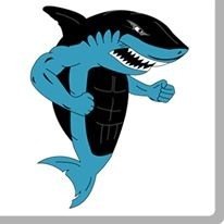 Booleshark Studios is a video game and entertainment studio that develops high-end games for both casual and hardcore gamers.