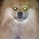 Suzanne Joseph - @tinyleno - Twitter