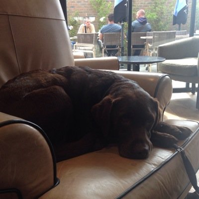 bandondrun's profile picture. 