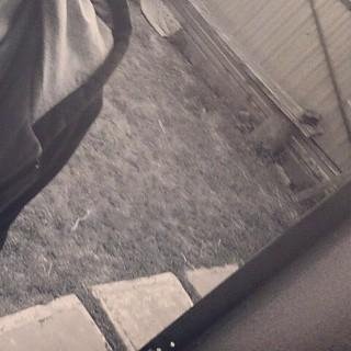 IldarHasanshi's profile picture. sammara