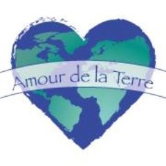 Chicago's only all vegan, eco-friendly and ethically produced shoes and accessories boutique! Women's, Men's, & Kid's!