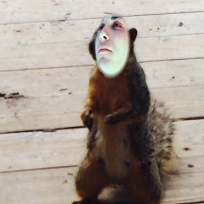 Free follow from @frnkierocantdie