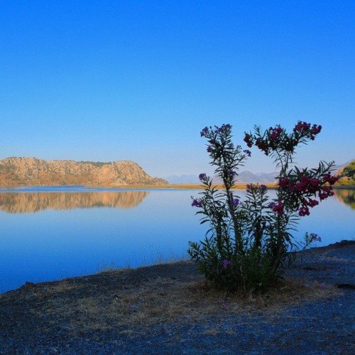 gspc6083's profile picture. 