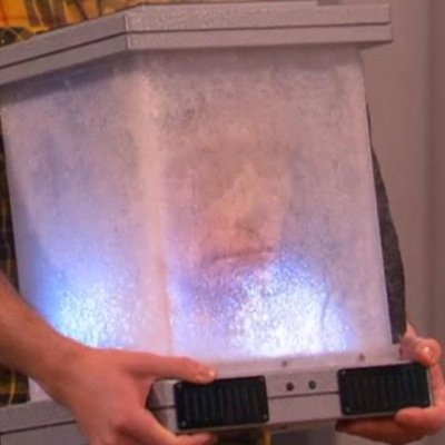 The frozen head of charles dingo