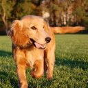 Sarah Maclachlan - @sarahmacc237 - Twitter