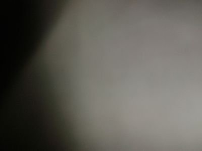 davii_dee's profile picture. 