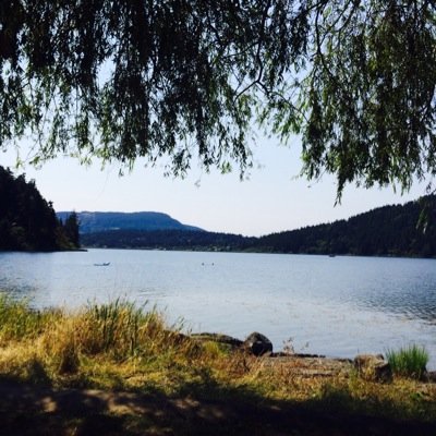 DtotheAtotheB's profile picture. Floating along on this tremendous rock in space, watching Bronzy Boor McTinyHands (via #PresidentBannon) try to undo everything democracy stands for. Bigly sad.