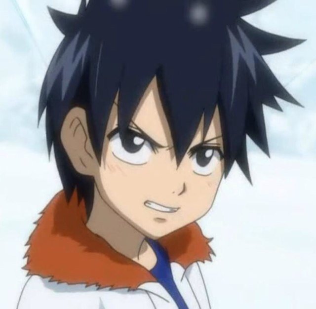 IceMakeGrayF7's profile picture. I'm Gray Fullbuster an ice make mage i'm in a guild called Fairy tail #RP