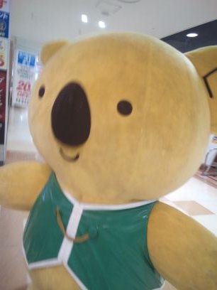 趣味でクワガタ飼育してます
情報交換してもらいたいです
欲しいのが居てたら色々買いに行ってます