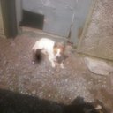 Sandra Costello - @SandraMaryCost - Twitter