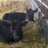 karenmmansfield's profile image