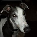 Debra Heine - @DebraHeine - Twitter