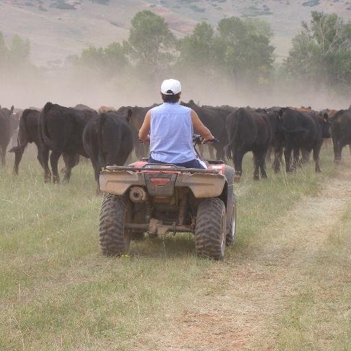 A Pastor's wife;God fearing;loves being a rancher's wife; a mother to our Isabella; humble servant for Jesus; prayer warrior. Pure country. Loves cooking.
