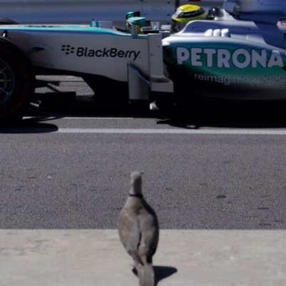 By F1 fans, for F1 fans...complaining about all things hot in F1 right now !