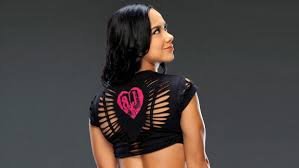 I'm 15 year old gril who loves wwe I also love to do fun things  and btw and u punks out their don't tweet a @ me notin bad cause I can be a bad a** b****
