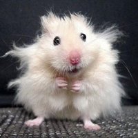 Barbara B (@underyourtree) 's Twitter Profile Photo