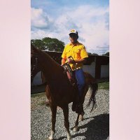 Jose Piñango (@prjosee) 's Twitter Profile