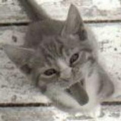 笑って下さい Waratteku Twitter