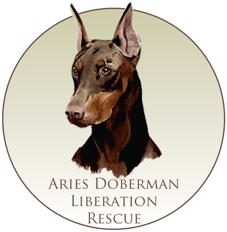 Aries Doberman Liberation Rescue, a 501c3  doberman and misfit breeds that need help