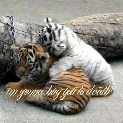 Appy106Tiger's profile picture. I believe God is real and believe he is the way the truth and the life.i grew up in a conservative world and want it back