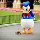 Disney好き子さん♡ (@0321_nakko) Twitter