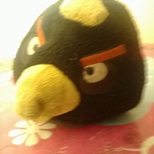 Chirp