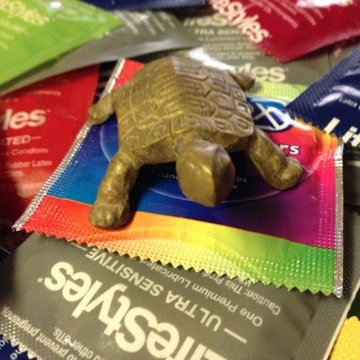 Have you ever wondered what the average # in bed at UMD is? We've got your answer.