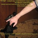 Pedro Raymond - @PedroRaymond6 - Twitter