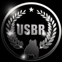 Acab Bullies (@acabbullies) Twitter profile photo