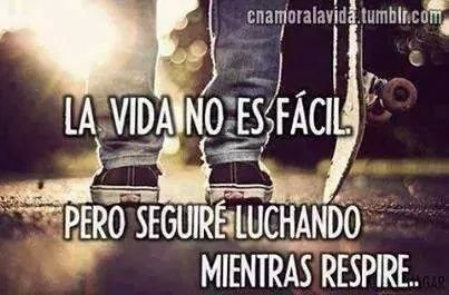NEVER SAY NEVER
