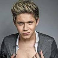 I really love One Direction especially Niall Horan
