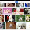 lucy beth olson - @saehawkgirl - Twitter