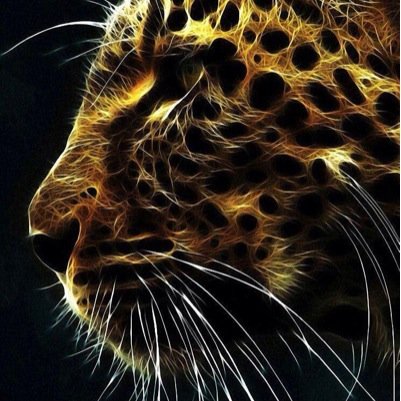 ziad_mohamed's profile picture. 