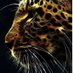 ZSAOY (@ziad_mohamed) Twitter profile photo