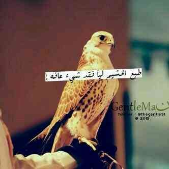 ‏عرقي جنوبي لكن ابصدري اشملت
