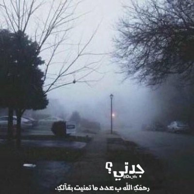 اذكروها بدعوه فهي تتمناها.. ( جدتي )