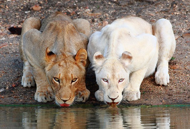 jccb73's profile picture. 