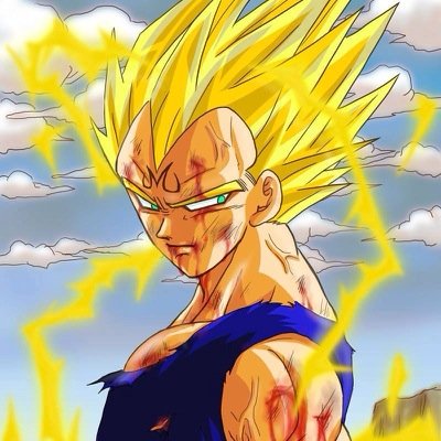 Vegeta_2025's profile picture. 
