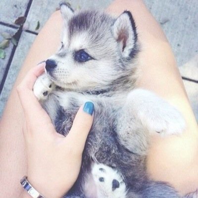 kiradubinskaya's profile picture. 