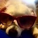 Kayla Merrill - @KayMerr1027 - Twitter