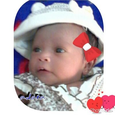 optimis