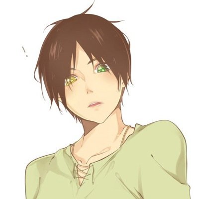 Hi. I'm Eren. I've been blind since birth. It is very expensive for sugery you know. But I want to see the ocean one day. Perhaps I can {RP, Blind AU, Single}