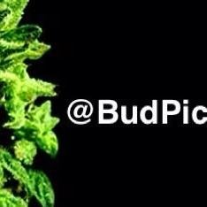 #StonerFamily #StonerNation @PotLinks @OneStonerFamily @FriendsWithWeed @SexBudz @CannabisPromos #TheFamily @AskStoners @SexTHC