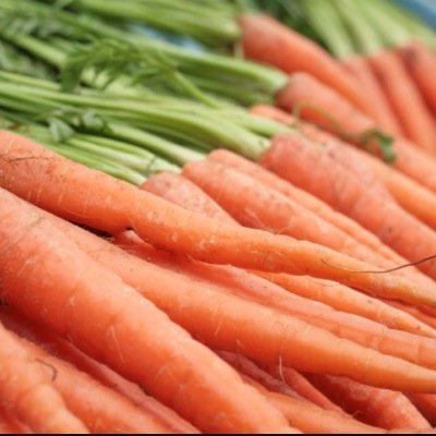 Carrot one of the worlds greatest vegetables